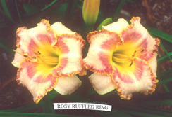 Rosy Ruffled Ring